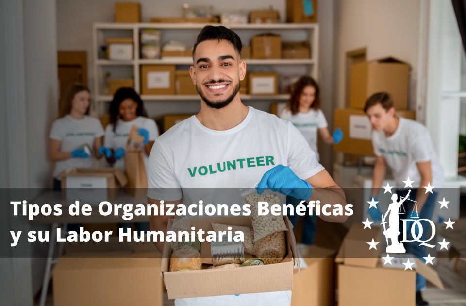 Tipos de Organizaciones Benéficas y su Labor Humanitaria