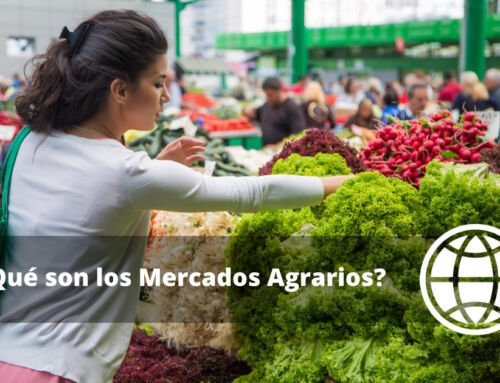 ¿Qué son los Mercados Agrarios? y Ejemplos