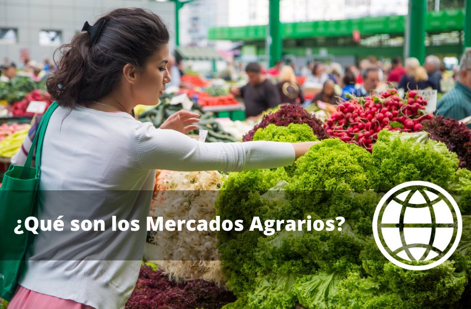 Qué son los Mercados Agrarios