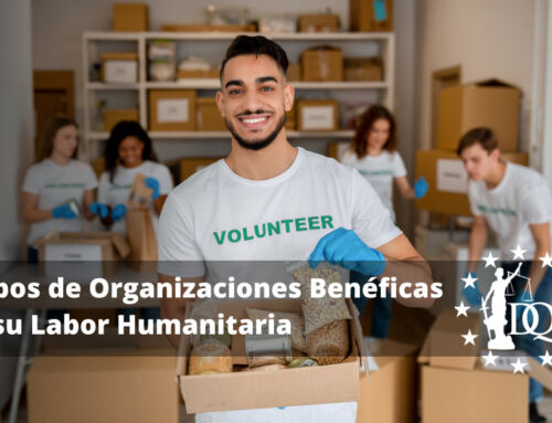Tipos de Organizaciones Benéficas y su Labor Humanitaria